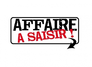 t2 à la vente -   73600  MOUTIERS, surface 166 m2 vente t2 - UBI455340824